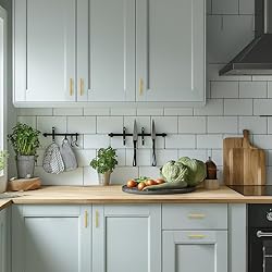 HOME EDIT Brushed Brass Cabinet Handles 2-1/2 Inch