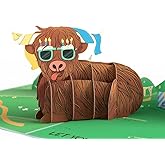 Lovepop Birthday Pop-Up Card for Her, Him, Men, Women - 3D Animal Greeting Cards - Let Your Hair Down - 5" x 7" - Blank Notecard & Envelope Included