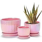 Ton Sin Pink Gold Ceramic Flower Pots, 4"+5"+6" Inch Small Glazed Succulent Planters with Drainage Hole,Modern Indoor Decorat