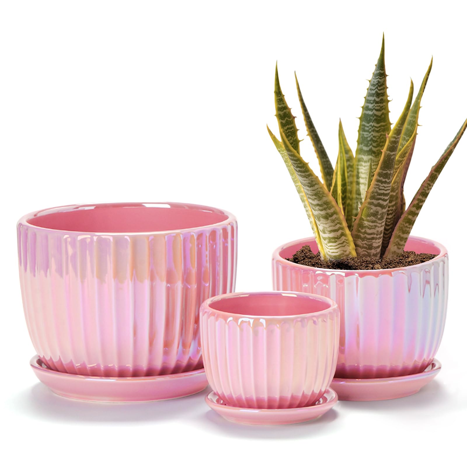 Photo 1 of Ton Sin Pink Gold Ceramic Flower Pots, 4"+5"+6" Inch Small Glazed Succulent Planters with Drainage Hole,Modern Indoor Decorative Plant Pots Set of 3,Garden Pots with Saucer