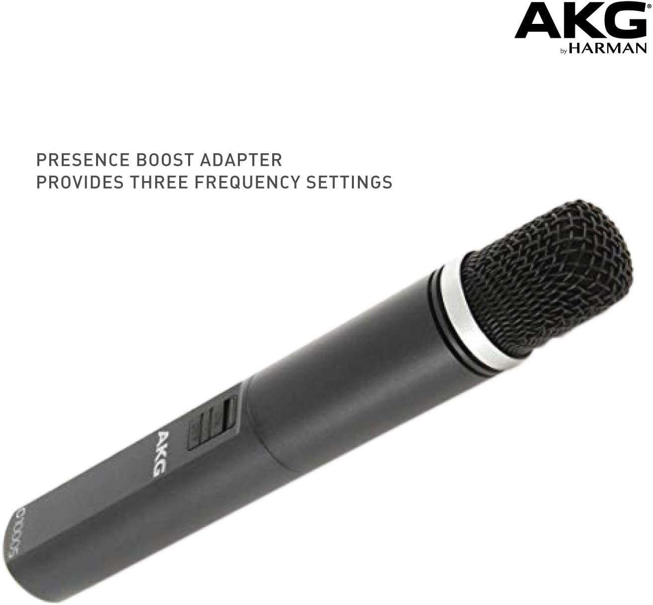 AKG Pro Audio C1000S High-Performance Small Diaphragm Condenser Microphone: Musical Instruments