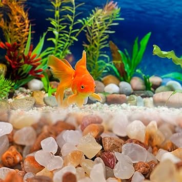 Amazon Co Jp クリスタルドライステートアクアリウムデコレーションクリスタルサンド 便利な多目的実用的水槽水槽用サンド スポーツ アウトドア