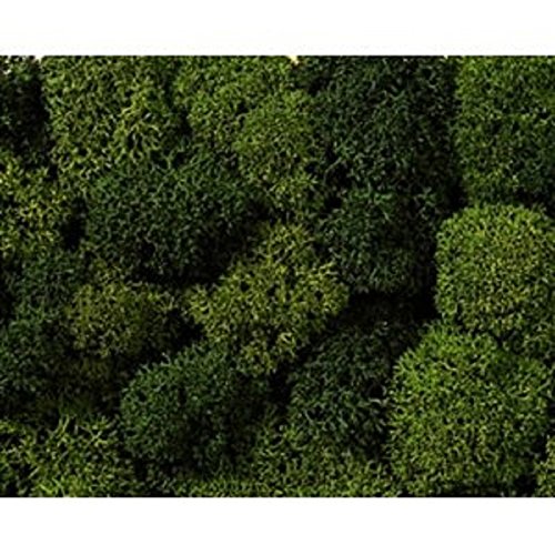Noch 8610 Lichen Assorted Grn   1oz  G,0,H0,TT,N,Z Scale