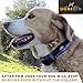 Donidin Silent Electronic Anti-Bark Dog Training Collar. 7 Adjustable Sensitivity Control Levels for Small or Medium Dogs. Free Bonus