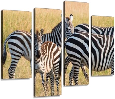 Amazon Co Jp アートパネル サファリのシマウマアフリカ サファリ シマウマ 南米 馬インテリア 絵画 壁掛け ポスター キャンバス 部屋飾り アート 壁キャンバス 壁飾り 壁キャンバス絵画 おしゃれ 北欧 新築飾り お祝い 贈り物 ホーム キッチン
