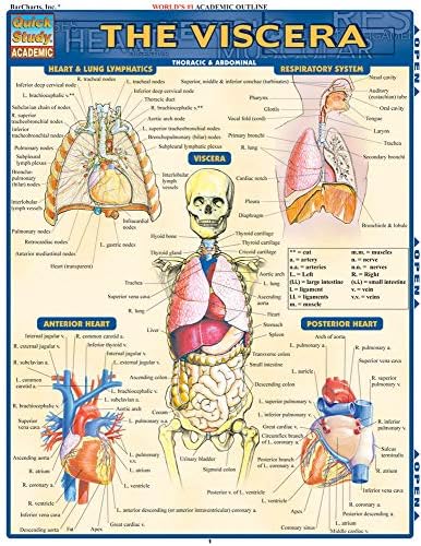 Urogenital System: QuickStudy Laminated Reference Guide (Quick