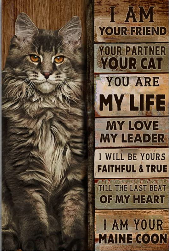 Tin Signs Vintage Funny Maine Coon I Am Your Friend Your Partner Your Cat You are My Life Metal Sign Vintage Home Decor Rustic Aluminum Tin Signs Wall Art Metal Poster for Garage Bar 8x12 inch