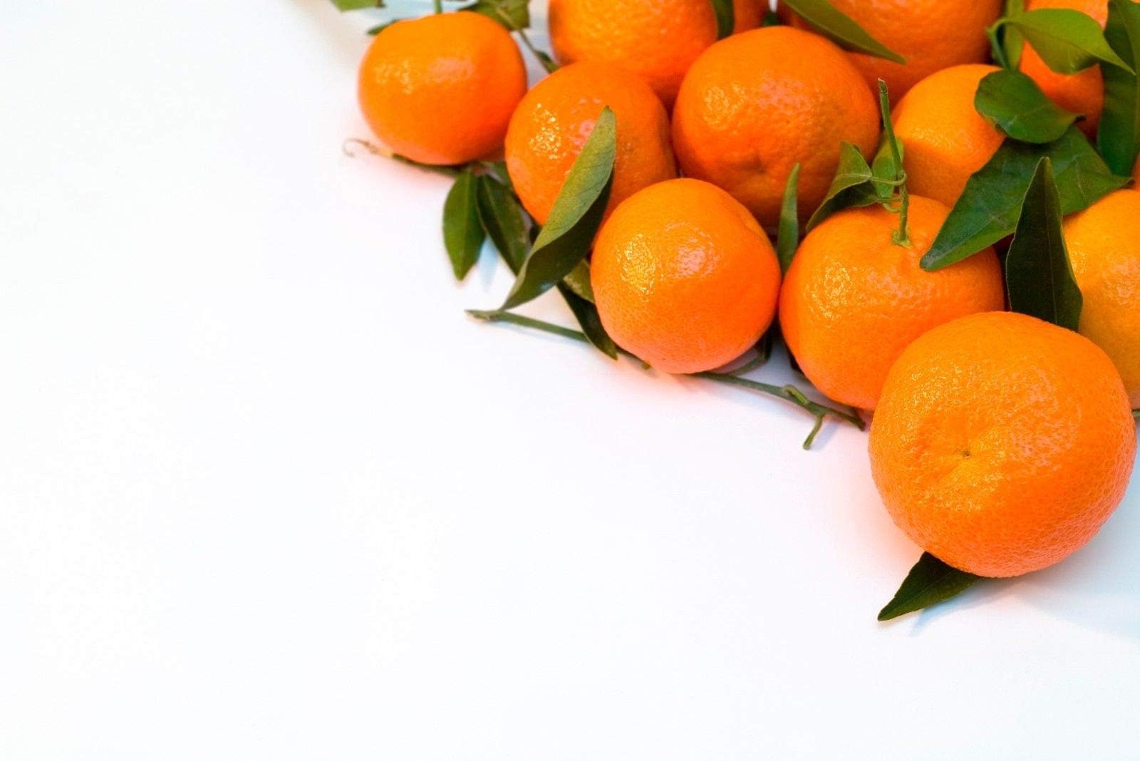 Heirloom Navel Orange Tree 80 Seeds by BasqueStore