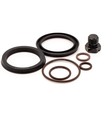 Dorman 904-535 - Kit Guarnizioni Per Alloggiamento Filtro Carburante, Ricambio Originale Per Ford (Escursione, F-Series Super Duty 2003-2007) - 6