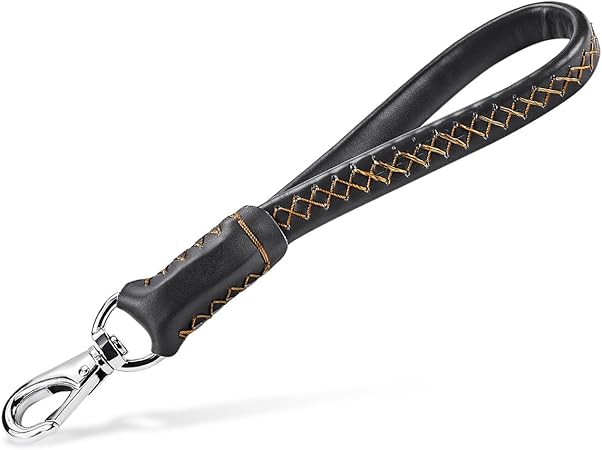 short leather dog lead