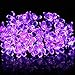 Qedertek Solar Christmas String Lights, 21ft 50 LED Halloween Purple String Lights, Fairy Blossom Lights String, Xmas Decorations for Indoor Outdoor, Home, Garden, Patio, Party and Xmas Trees Purple