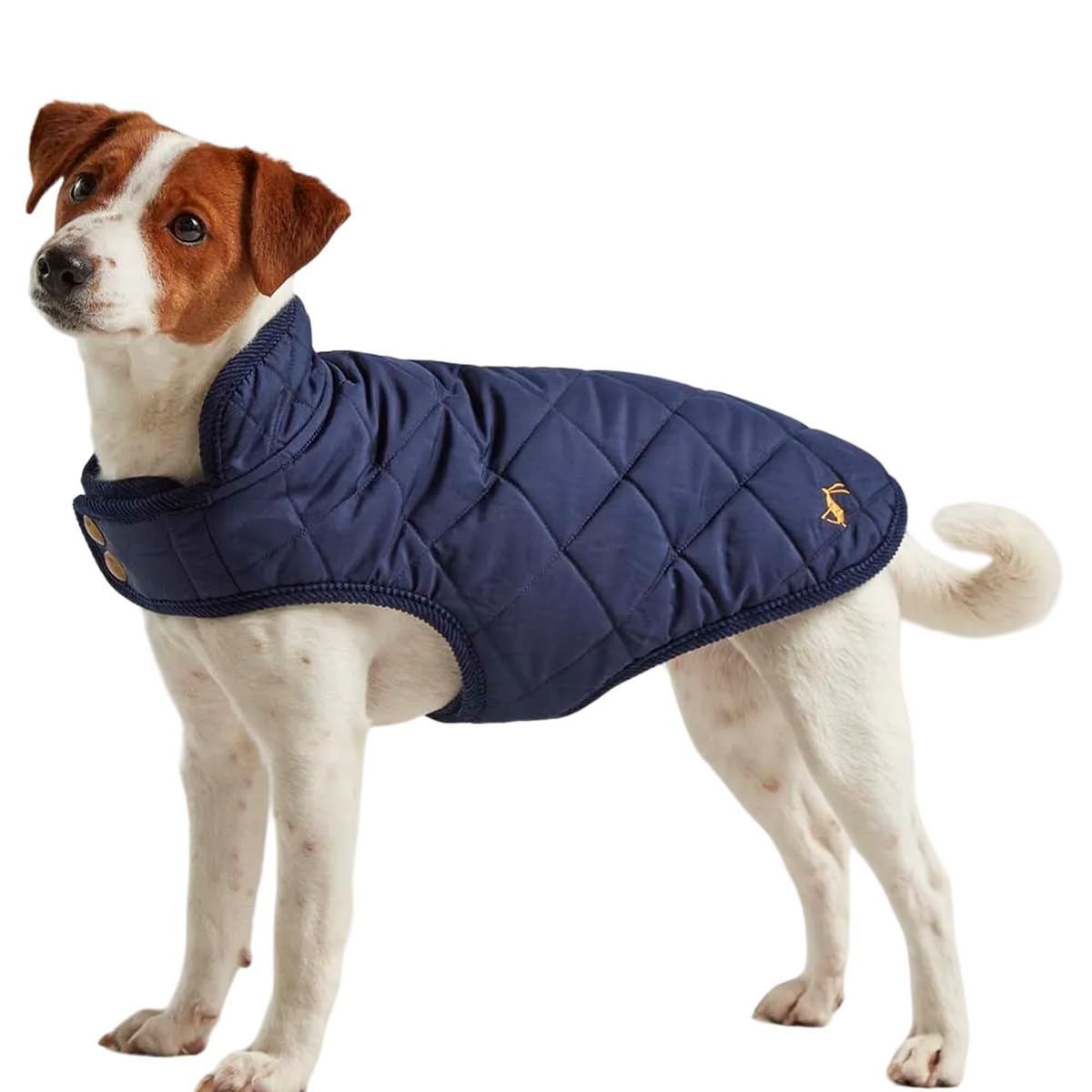 Rosewood x Joules Navy Blue Quilted Coat for Dogs, Large, Washable, Lightweight, Warm Winter Dog Jacket for Large Dogs