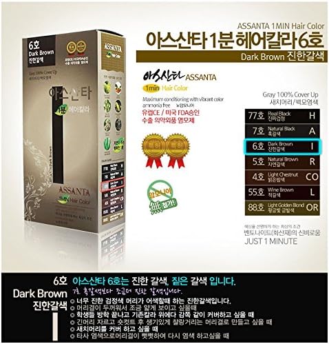Assanta 1 Minute Hair Color Cream, 60g, Made in Korea (Light Chestnut)