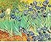 2 Irises Post Impressionism Vincent van Gogh-Frameless painting by number kits 16x20 inch pictures on canvas