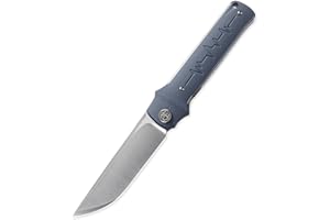 Petrified fish PFB04 Tena Folding Knife, 3.82" D2 Steel Satin Blade G10 Handle Pocket Folding knife for EDC Camping Outdoor (Gray Satin)