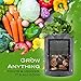Grow Bags 10 Gallon 4 Pack l Garden Planting Smart Pots I Fabric Pots for Tomato and Planters I Natural Aeration for Growing Healthy Potato Vegetables and Plants l Heavy Duty for Nursery Gardening