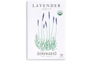 Sereniseed Certified Organic English Lavender Seeds (200 Seeds) – 100% Non GMO, Open Pollinated – Grow Guide