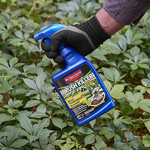 BioAdvanced 704630D Brush Killer Plus Kills Tough Vines, Poison Ivy
