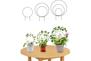 SOUSAC 3 Pcs Unique Round Hoya Garden Trellis, Different Small Houseplant Trellis for Climbing Plant Indoor Outdoor, Garden Trellis Plant Support for Potted Ivy and Flowers (Black)
