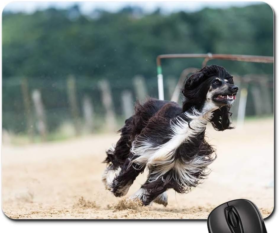 Amazon Com Mouse Pads Afghan Greyhound Long Coat Afghan Hound