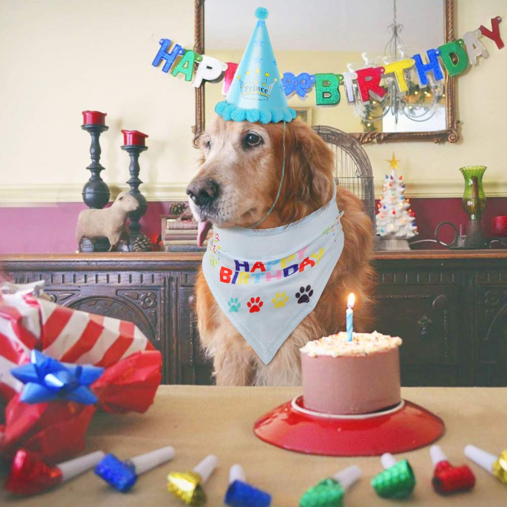 puppy birthday outfit