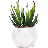 Shiny Flower Artificial Succulent Plants Artificial Aloe Plant Fake Succulent Plant in Ceramic Pot with 2 PCS Create Realisti