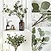 Artificial Eucalyptus Stems Leaves 6 Pcs Straight Silver Dollar Eucalyptus Leaf Silk Greenery Bushes Plastic Plants Floral Faux Greenery Stems for Party Wedding Home Decor(Grey Green)