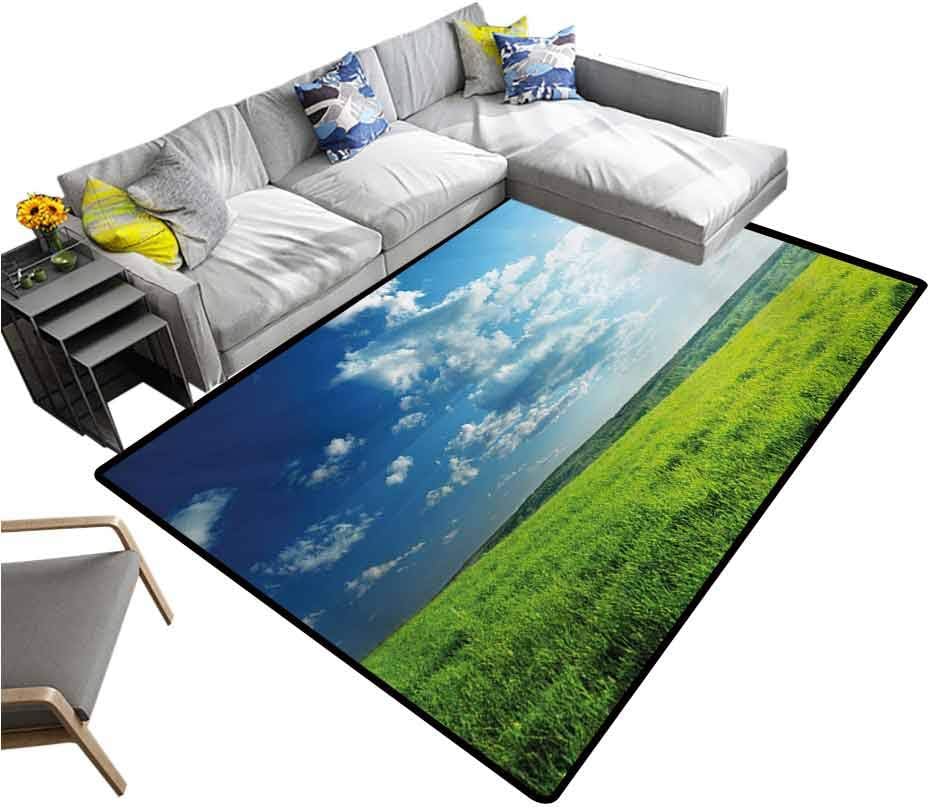 Nature Living Room Floor Carpets Refreshing Meadow Valley Under Cloud Sun Sky Spring Grass Country Image for Kitchen Rugs Lime Green Pale Blue (6'x8')