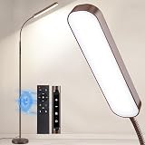 OUTON Bronze LED Floor Lamp 15W 1500LM Dimmer Remote 4 CCT Gooseneck