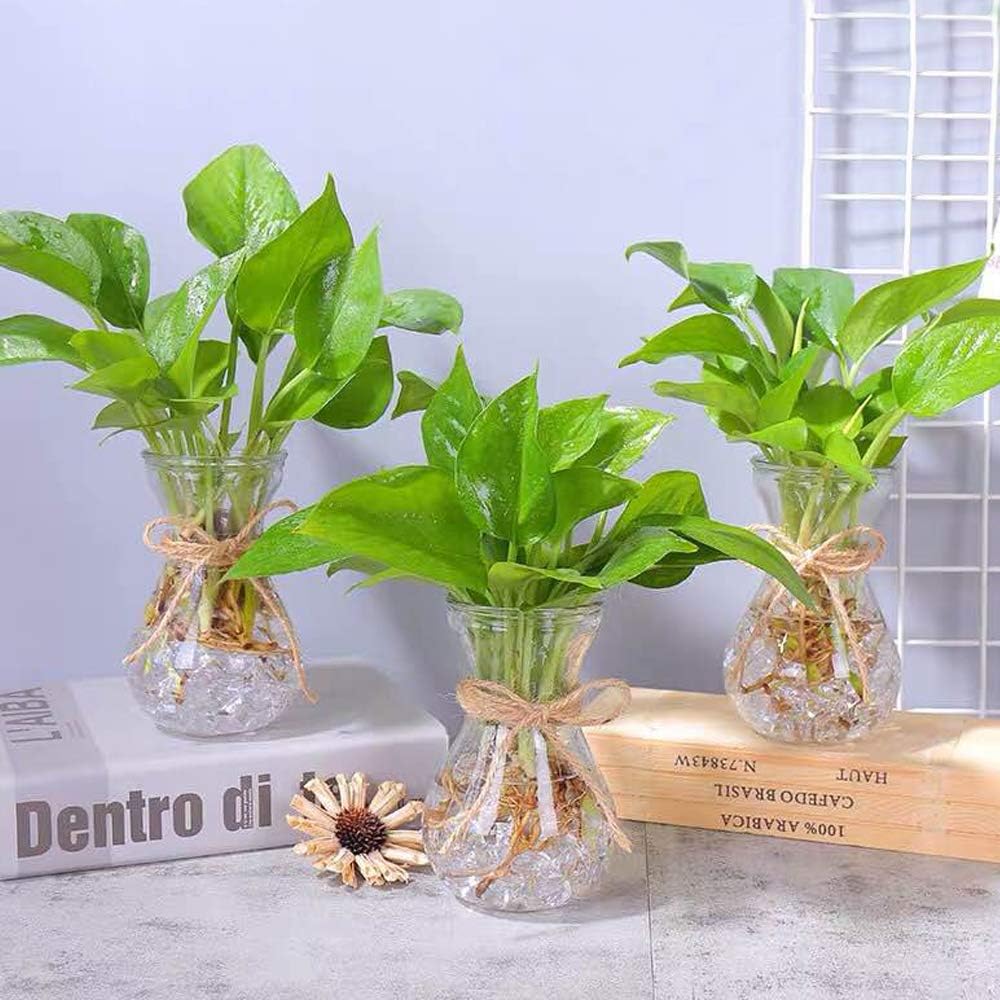 Glass Vases for Flowers with Twine Rope 3 Pcs/Set Floral Arrangements, Flower Vase Glass - Image 5