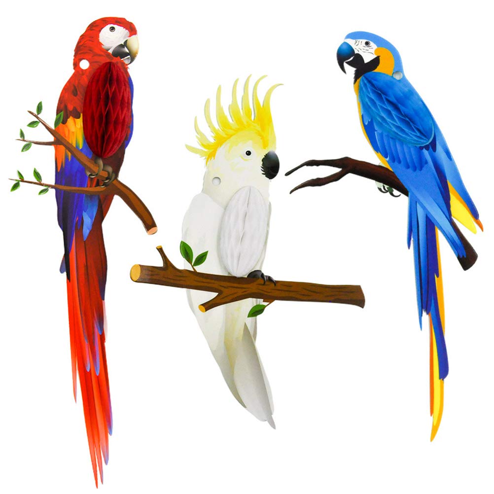 TOYANDONA 3pcs Tropical Birds Honeycomb Paper Cutouts Parrot Honeycombs Party Supplies