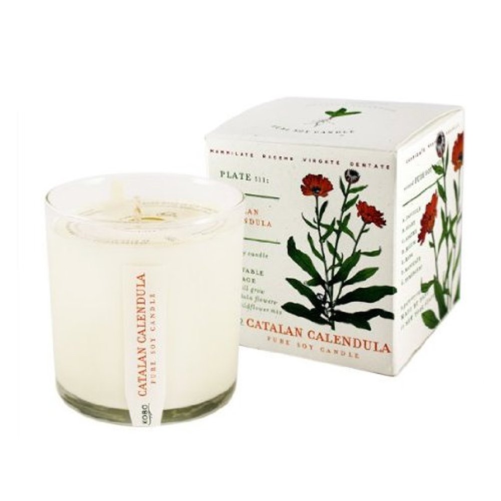KOBO Catalan Calendula Scented Candle with Plantable Box (9 oz) | Plant The Box Collection, 100% Pure Soy Wax Candles | Hand-Poured in USA | Long Lasting 60 Hour Burn | Scented Candles for Home