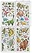 Dinosaur Reusable Kids Decorative Peel & Stick Wall Decals - Art Decore (110 Decals!)