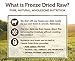 Instinct Freeze Dried Raw Boost Mixers Grain Free Lamb Formula All Natural Dog Food Topper By Nature'S Variety, 14 Oz. Bag