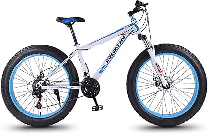 27.5 inch fat bike
