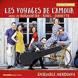 LES VOYAGES DE L'AMOUR                             image