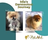 Petnat Dermacton Cream for Dogs - Itch Relief & Hair Regrowth view 3