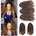 3 pcs/pack Crochet Curly Hair Extensions 8 Inch Synthetic Crochet Box Braids Hair (#1/27)
