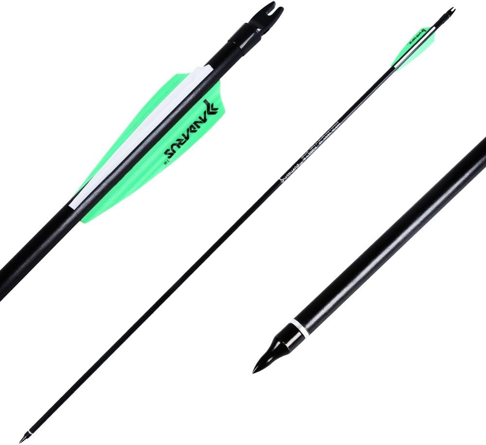 PANDARUS Archery 32inch 8mm Fiberglass Hunting Practice Arrows with Replaceable Arrowhead Spine 500 for Recure and Compound Bow Target (Pack of 12) : Sports & Outdoors