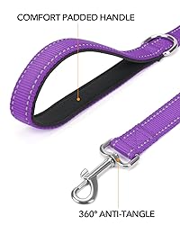 Taglory Dog Leash for Small Dogs, Double-Sided