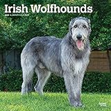Irish Wolfhounds 2020 12 x 12 Inch Monthly Square Wall Calendar, Animals Irish Dog Breeds by 