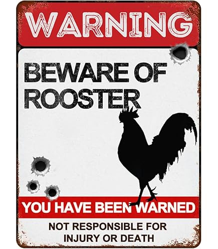 Amazon.com : Caution Attack Rooster : Yard Signs : Patio, Lawn