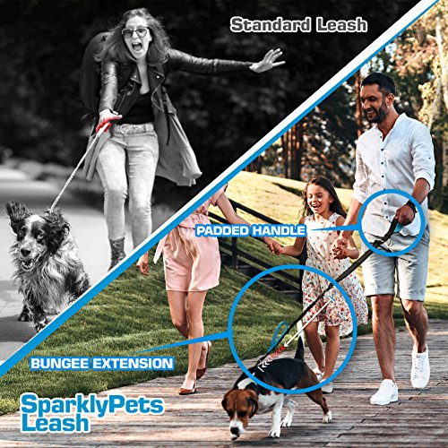 SparklyPets FLASH SALE | Adjustable Leash and 3 in 1 Shock-Absorbing Bungee Extension Set â€“ Heavy Duty Dog Leash for Medium and Large Breeds Made from Durable Nylon â€“ Reduces Pulling Shocks - Blue