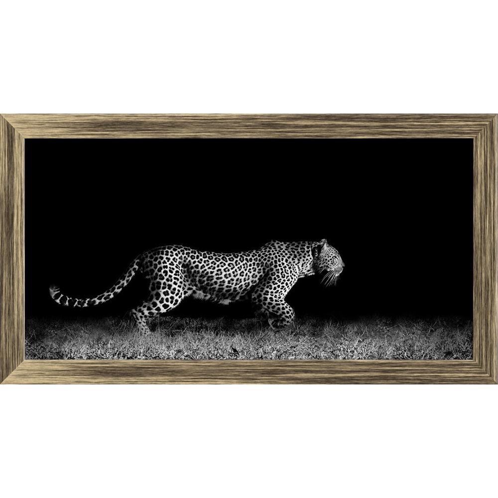 Photo African Leopard Canvas runing