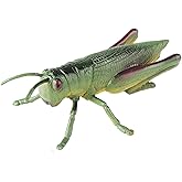 AENIMELY Large Grasshopper Figurine – Hollow Realistic Insect Bug Model Toy for Kids – Educational Bug Toy for Nature Study and Classroom Display