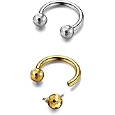 BodyBonita G23 Titanium Horseshoe Septum Rings Jewelry - 2pcs 16G Nose Rings Hoops Circular Barbell Conch Helix Rook Lip Nipple Piercing for Women Men Silver/Gold/Black 8/10mm