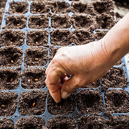 Organic Potting Soil Mix, Professional Starter Potting Mix, All Nature