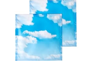 Baquler 2 Pcs 2 x 2 ft Fluorescent Light Covers for Ceiling Lights Classroom Magnetic Light Filters for Reducing Harsh Glare Flicker for Office Classroom Home Drop Ceiling(Cloud)