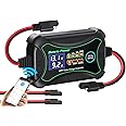 10A MPPT Wireless Solar Charge Controller with BT, Bateria Power 12 Volt Phone APP Intelligent Control Solar Regulator with LCD Display, LED Indicate Light for Gel AGM Lithium LiFePO4(Sunrock 10Pro)