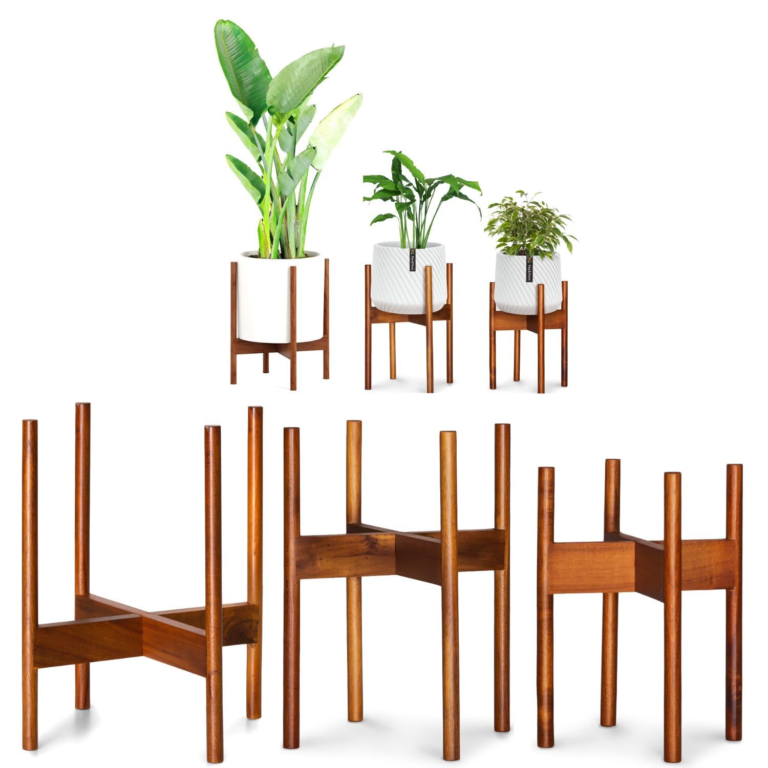 Fox & Fern Mid-Century Modern Plant Stand - Acacia - Excluding 28cm White Ceramic Planter Pot (Set of 3, Acacia)